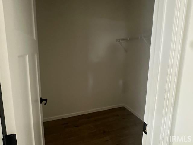 spacious closet with dark wood-type flooring