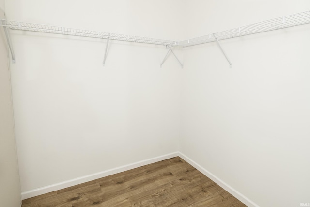 spacious closet with light wood finished floors