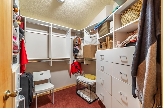 walk in closet with carpet