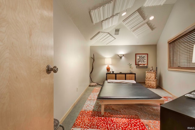 interior space with carpet, vaulted ceiling, and a textured ceiling