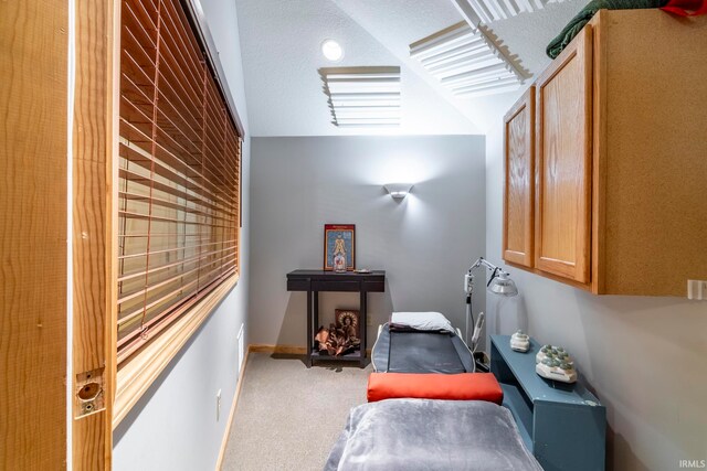 bedroom featuring a textured ceiling, vaulted ceiling, and carpet flooring