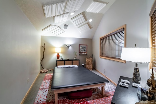 rec room with lofted ceiling, carpet, and a textured ceiling