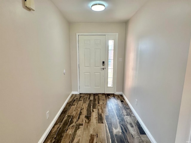 foyer entrance with dark hardwood / wood-style flooring