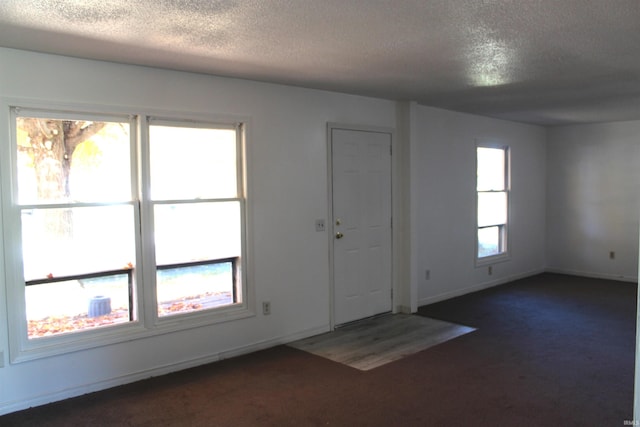 carpeted foyer featuring a textured ceiling and a wealth of natural light