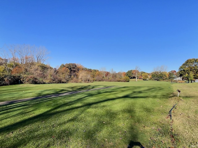 view of community with a yard