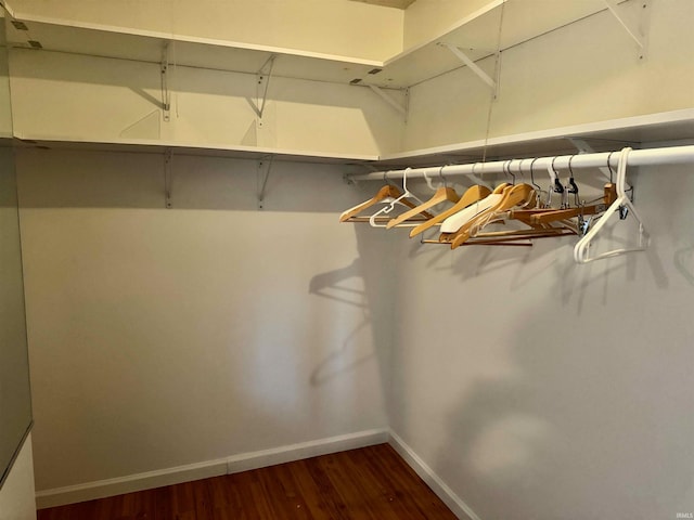 walk in closet with dark wood-type flooring