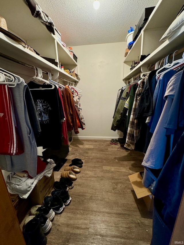 spacious closet with hardwood / wood-style floors