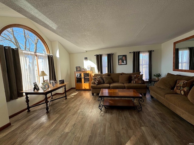 living room featuring a textured ceiling, vaulted ceiling, and hardwood / wood-style floors