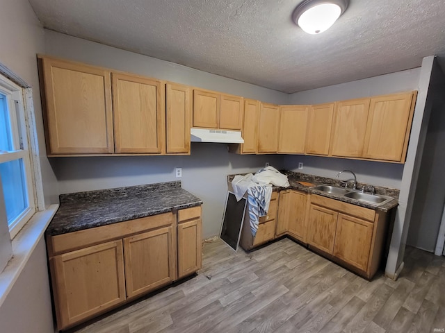 kitchen featuring a textured ceiling, sink, and light wood-type flooring