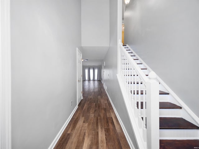 staircase with hardwood / wood-style flooring