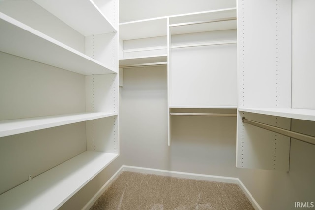 walk in closet with carpet