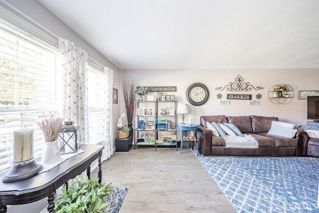 living room featuring a textured ceiling and hardwood / wood-style flooring