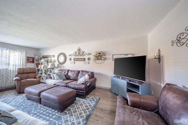 living room with a textured ceiling and hardwood / wood-style floors