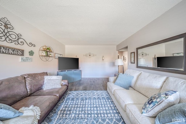 living room featuring wood-type flooring and a textured ceiling