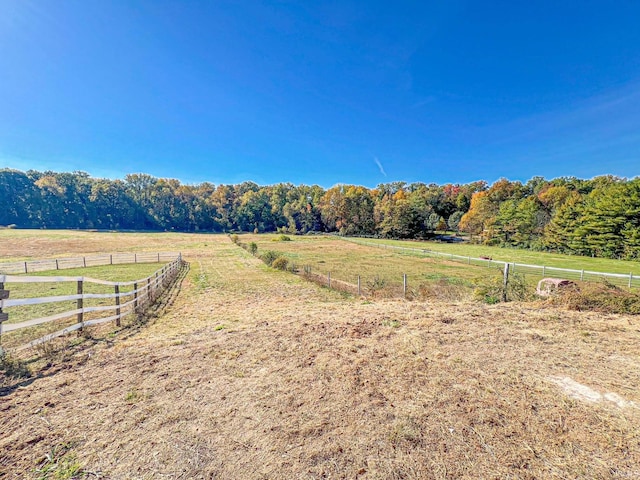 view of yard with a rural view