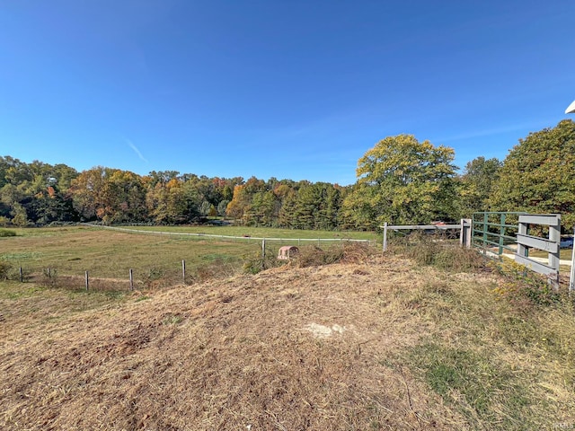 view of yard featuring a rural view