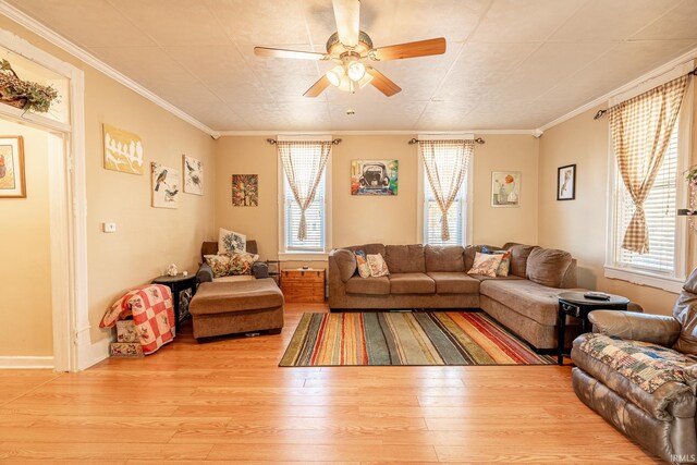 living room with light hardwood / wood-style floors, ornamental molding, plenty of natural light, and ceiling fan