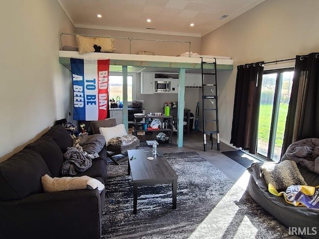 living room with ornamental molding and concrete floors