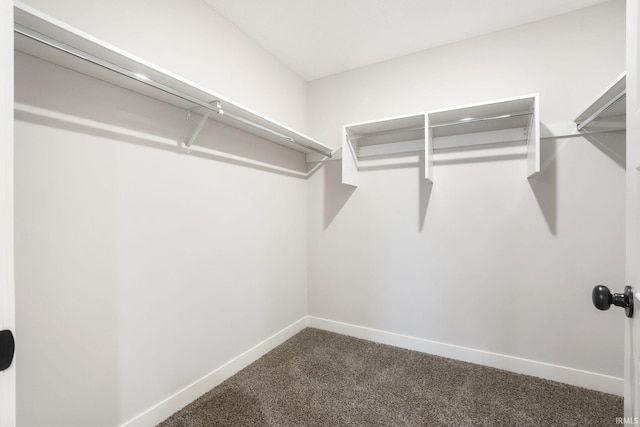 spacious closet featuring dark carpet