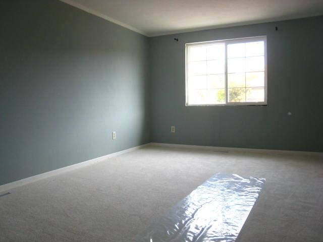 carpeted spare room with crown molding