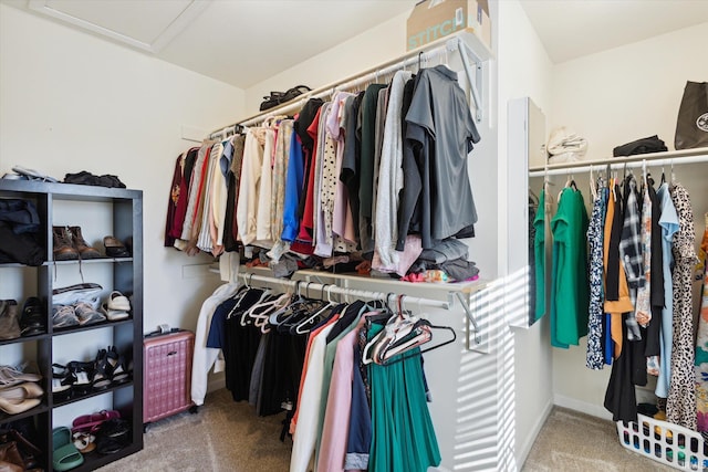 walk in closet with carpet floors