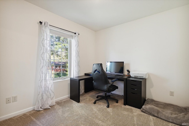 office area with light colored carpet