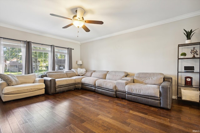 living room featuring dark wood-type flooring, ceiling fan, and ornamental molding