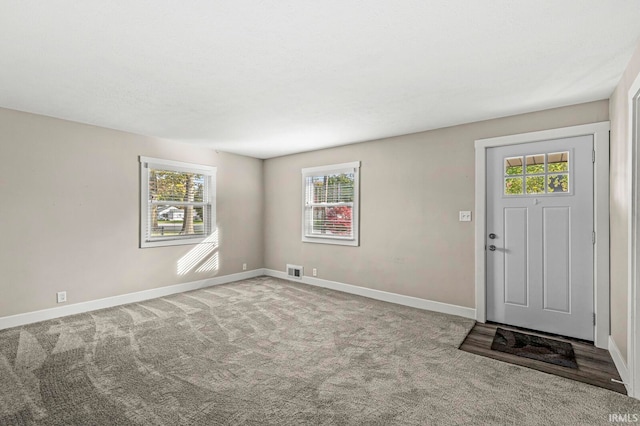 carpeted foyer entrance featuring a wealth of natural light