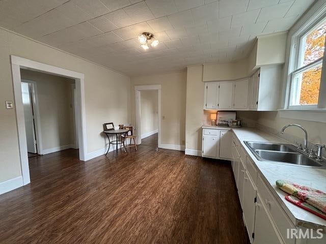 kitchen featuring dark hardwood / wood-style flooring, white cabinetry, and sink