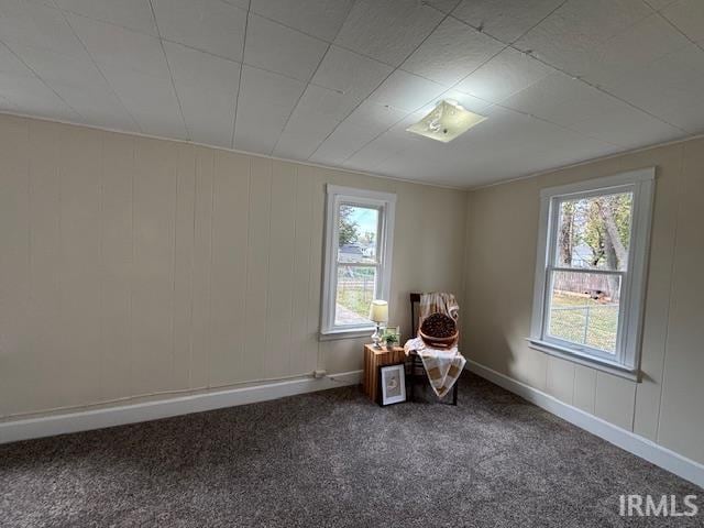 unfurnished room featuring plenty of natural light and carpet floors