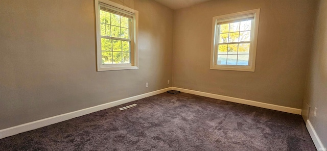 carpeted empty room with plenty of natural light