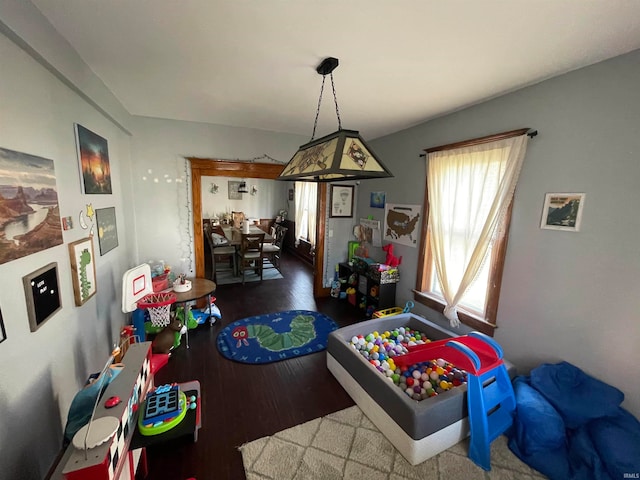 recreation room featuring hardwood / wood-style floors