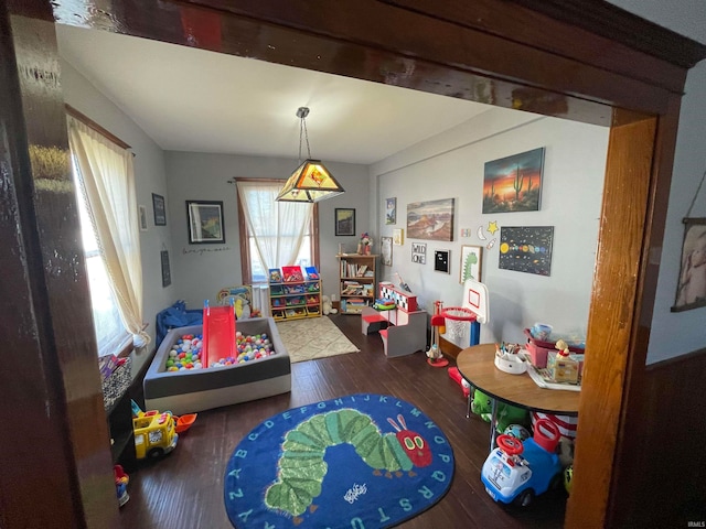 playroom with hardwood / wood-style floors