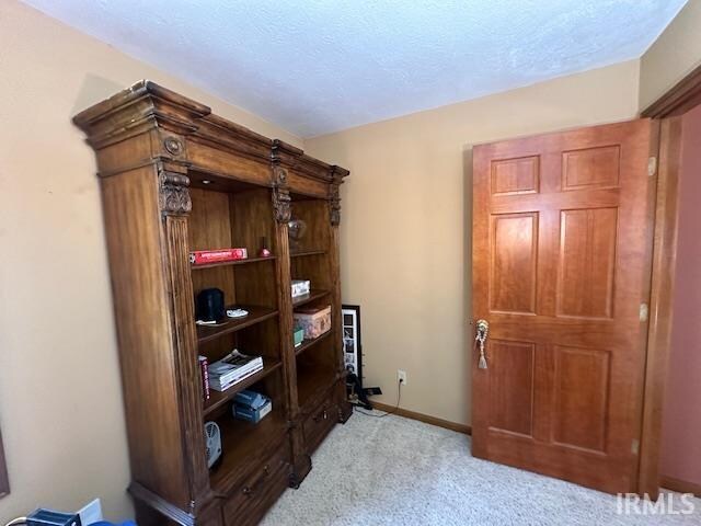 interior space with light colored carpet and a textured ceiling