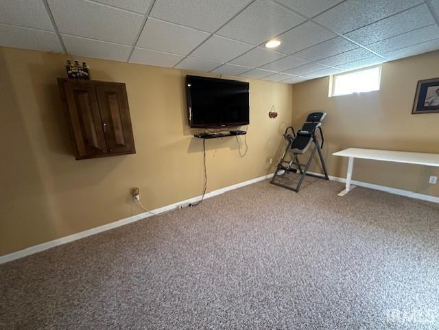 basement featuring carpet and a paneled ceiling