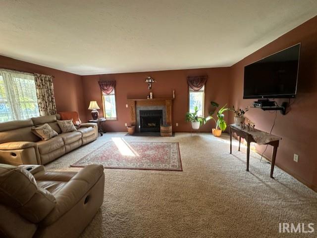 living room featuring carpet and a wealth of natural light