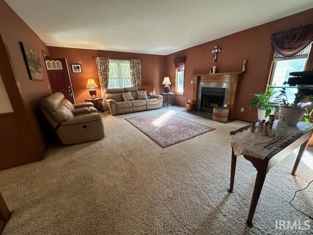 living room featuring carpet