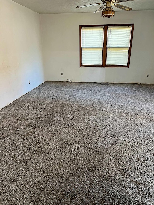 empty room featuring ceiling fan, carpet, and a textured ceiling