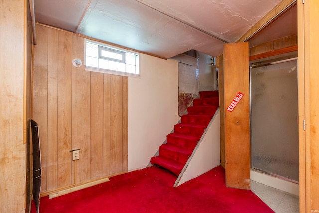 basement with wood walls