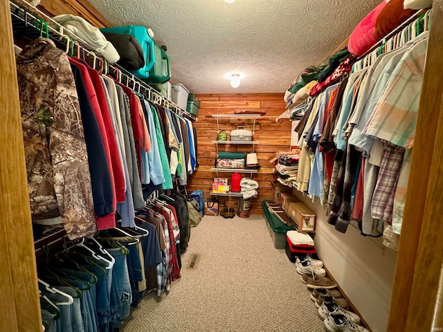 spacious closet with carpet