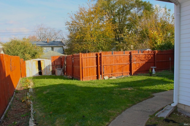 view of yard featuring a shed