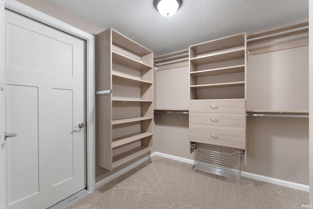 spacious closet featuring light colored carpet