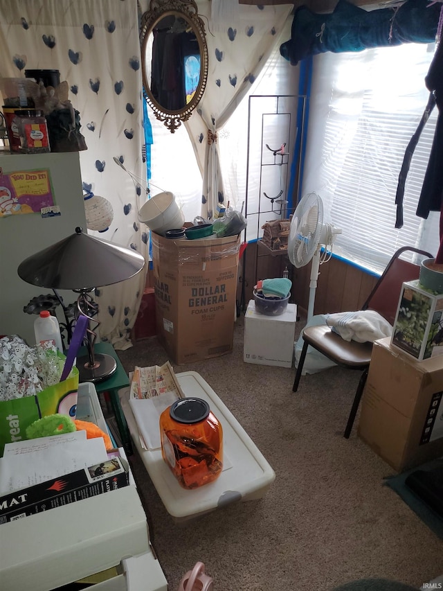 bedroom featuring carpet floors