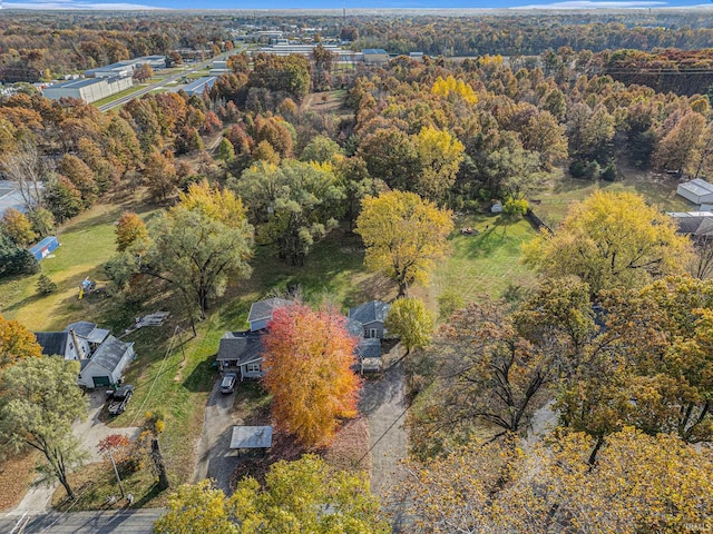 bird's eye view