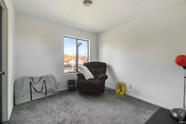 living area featuring carpet floors and a textured ceiling