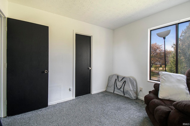 sitting room featuring carpet and a textured ceiling