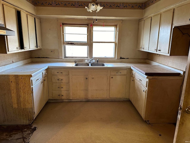 kitchen featuring sink, decorative backsplash, and exhaust hood