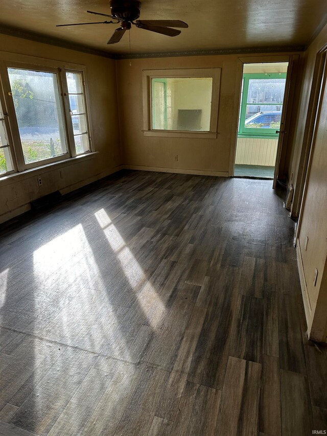 unfurnished room with dark hardwood / wood-style floors and ceiling fan