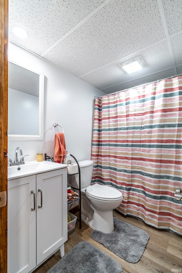 bathroom featuring vanity, curtained shower, wood-type flooring, and toilet