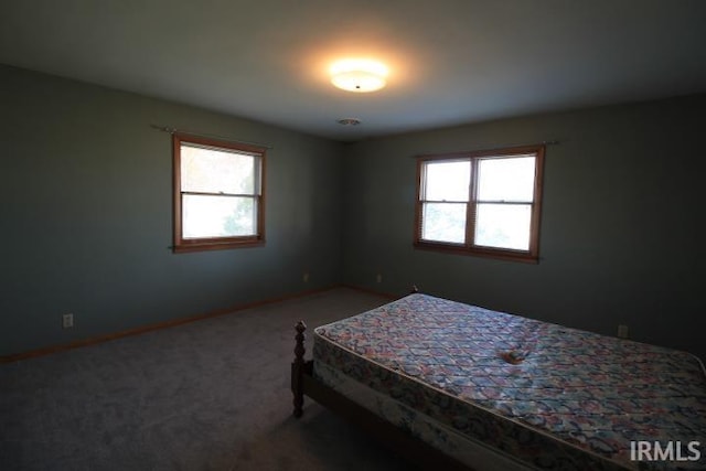 bedroom with multiple windows and carpet floors